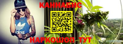индика Нальчик