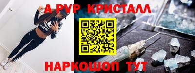 индика Нальчик