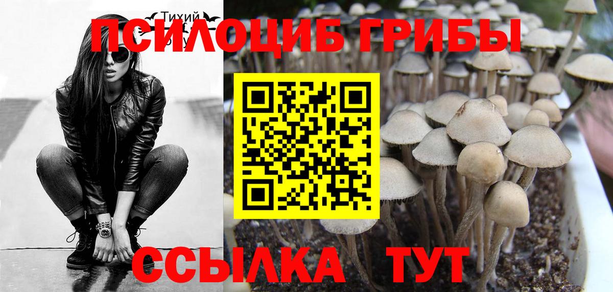 Псилоцибиновые грибы GOLDEN TEACHER Фрязино