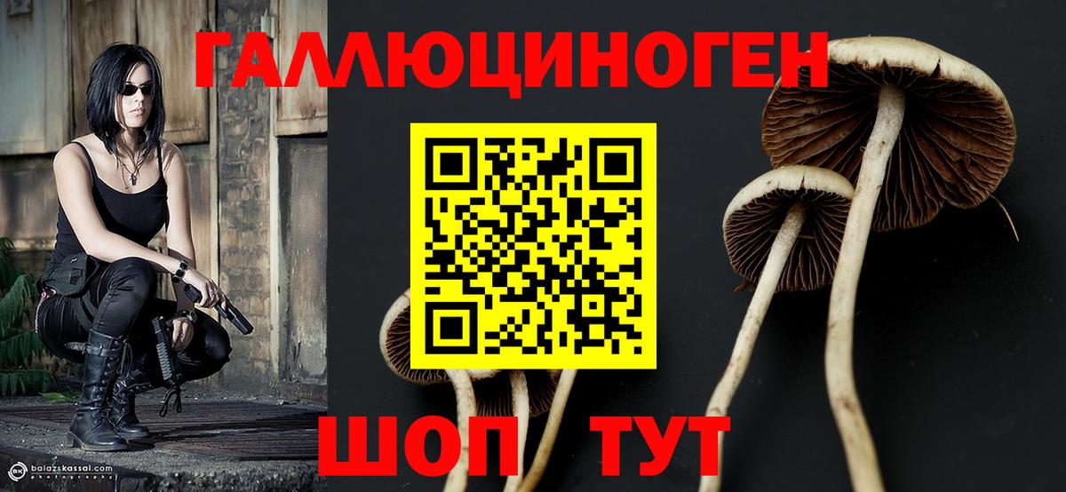 Галлюциногенные грибы MAGIC MUSHROOMS  Вход с VPN  где продают   Фрязино 